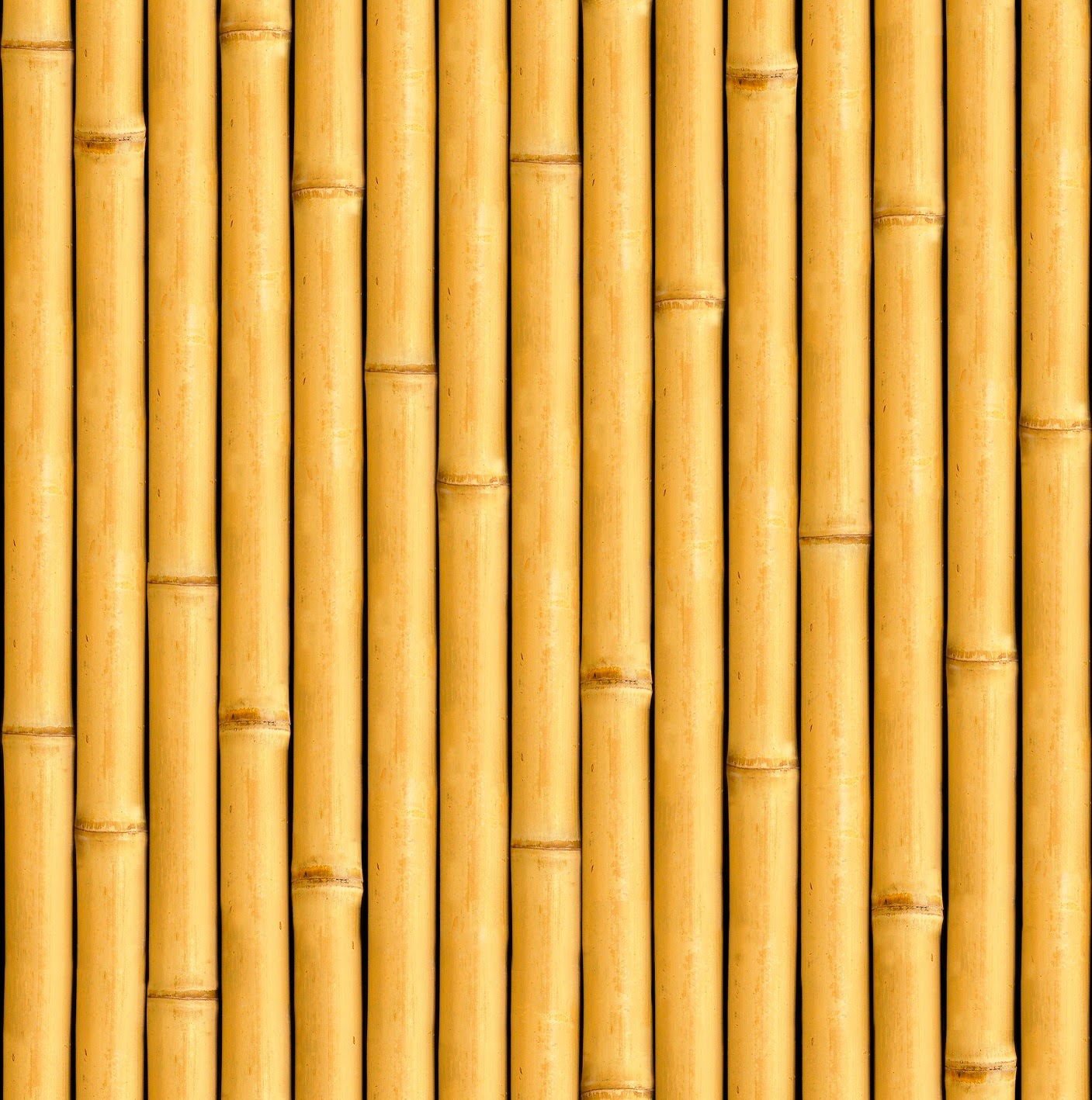 bambu papers